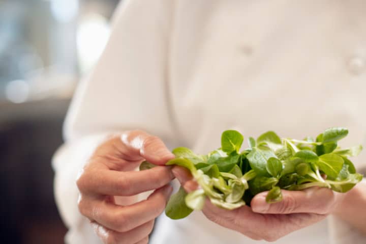 Chef Holding Watercress