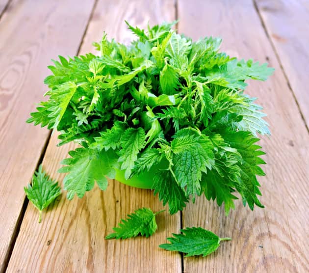 Nettles in a green bowl on board